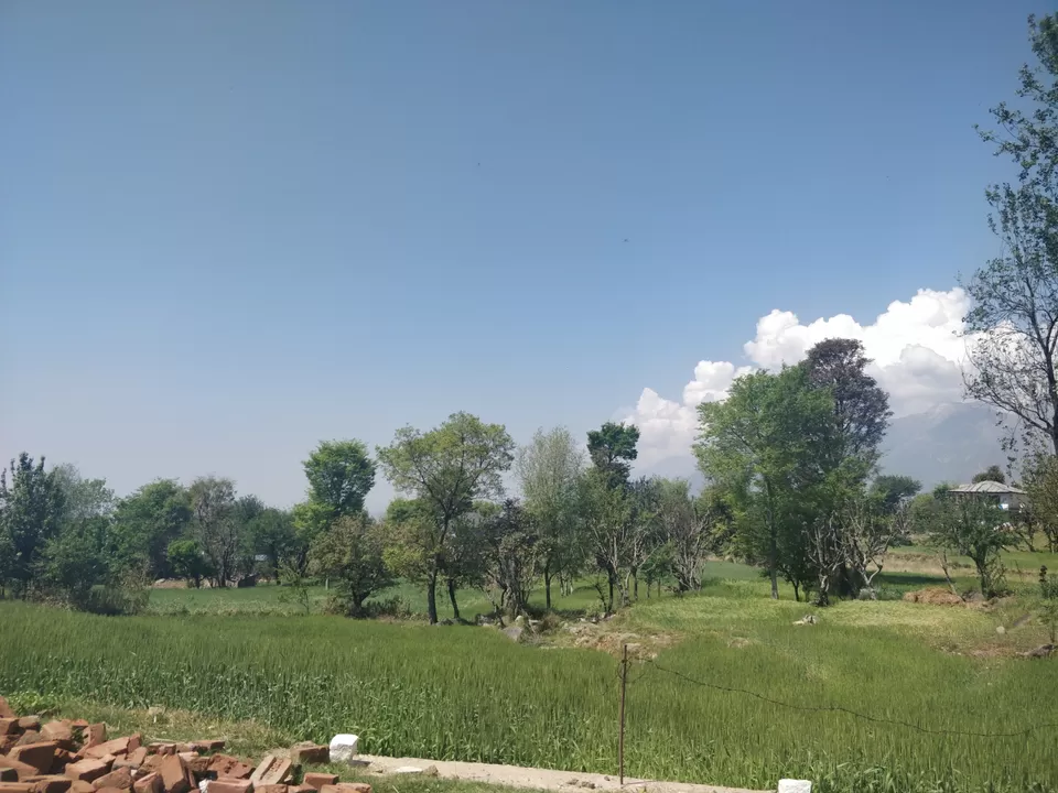 Photo of Bir Billing Paragliding, Bir, Himachal Pradesh, India by Jenn Rumao