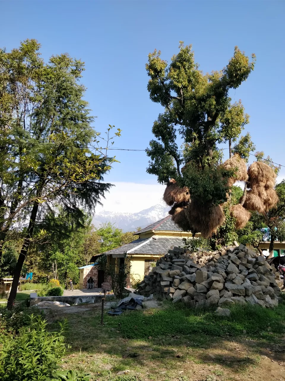 Photo of Bir, Himachal Pradesh, India by Jenn Rumao