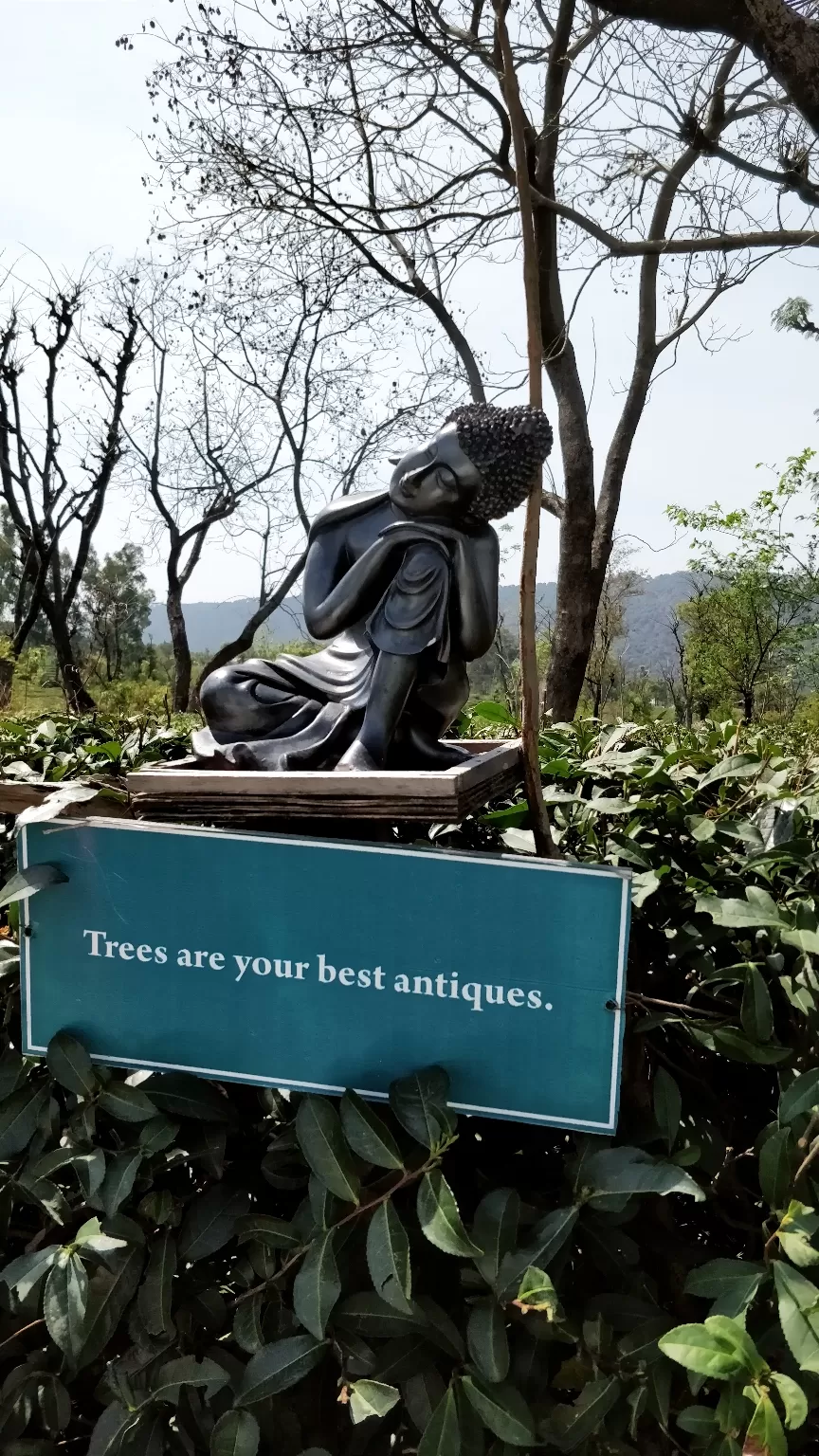 Photo of Palampur, Himachal Pradesh, India by Jenn Rumao