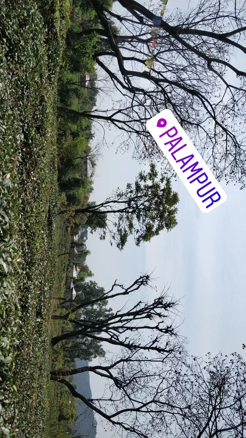 Photo of Palampur, Himachal Pradesh, India by Jenn Rumao