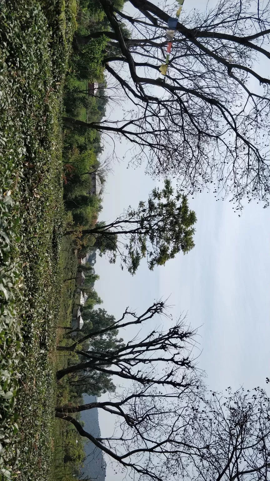 Photo of Palampur, Himachal Pradesh, India by Jenn Rumao