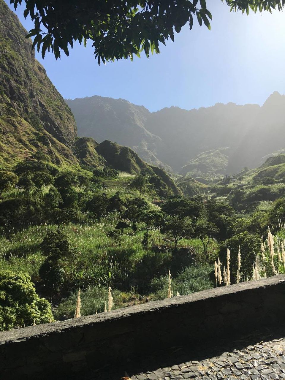Photo of Cape Verde - One Week of Excitement 4/15 by Mara Karina
