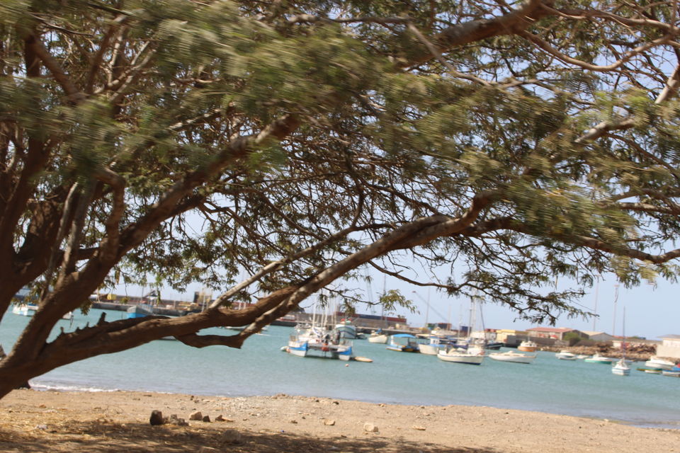 Photo of Cape Verde - One Week of Excitement 13/15 by Mara Karina