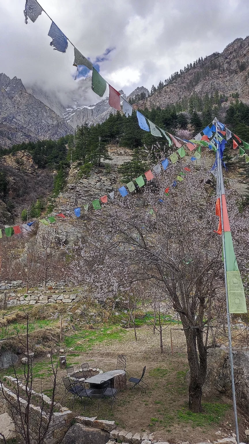 Photo of Four mountain stays for unbeatable mountain views and lifetime experience by Jatinder Kumar