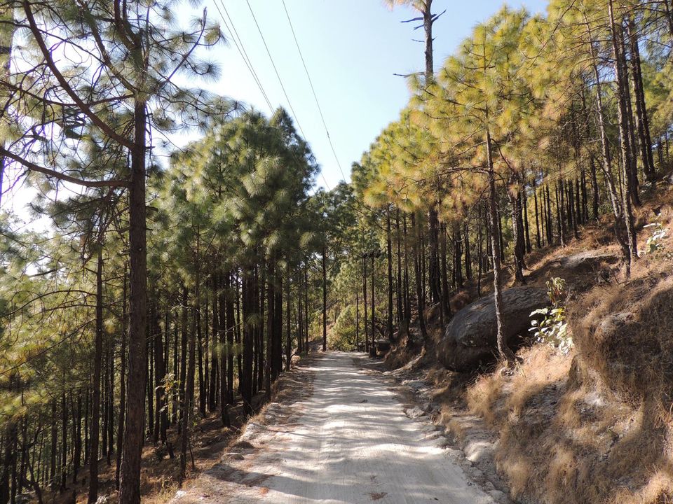 Photo of Lansdowne Expedition 5/8 by swativerma