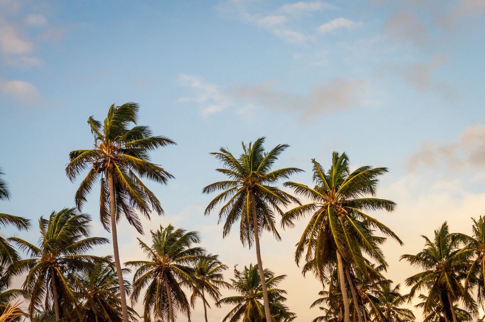 Photo of How to Make the Most out of Your Vacation 1/1 by Vincent Stokes