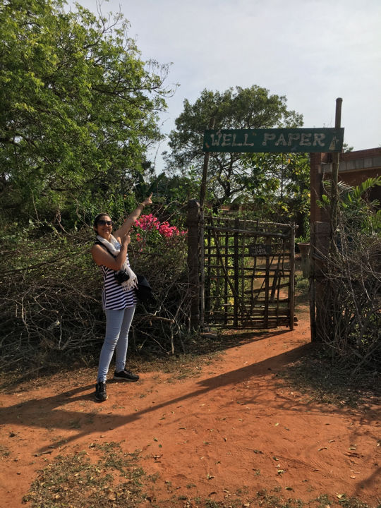Photo of Kottakarai Road, Auroville, Tamil Nadu, India by Saloni