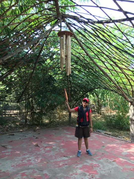 Photo of Kottakarai Road, Auroville, Tamil Nadu, India by Saloni