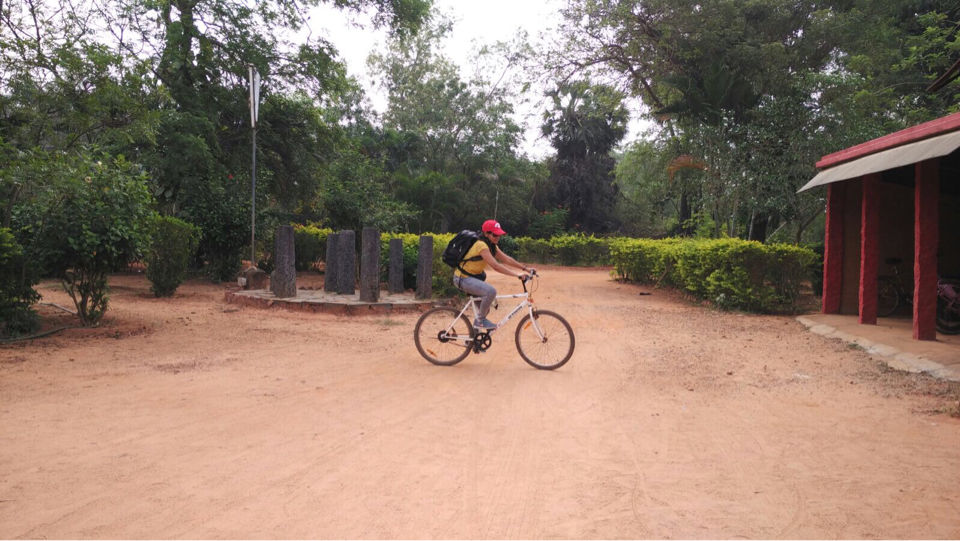 Photo of Auroville, Bommayapalayam, Tamil Nadu, India by Saloni