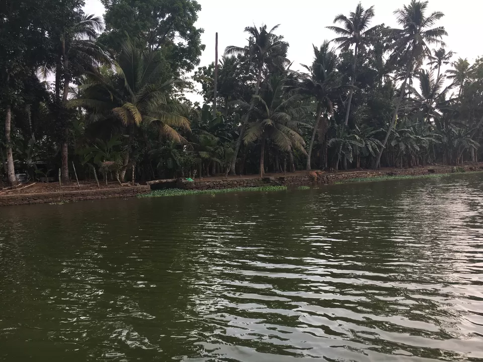Photo of Kottayam, Kerala, India by Saloni