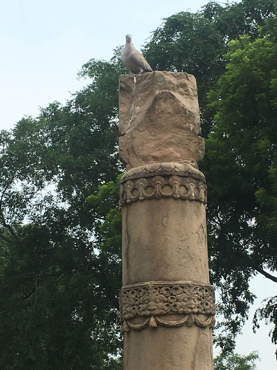 Photo of Sarnath, Varanasi, Uttar Pradesh, India by Saloni