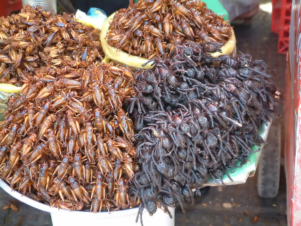 Photo of What They Aren’t Telling You About Cambodia! 6/9 by esha dasgupta