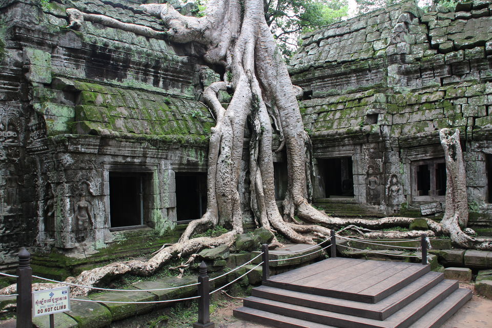 Photo of What They Aren’t Telling You About Cambodia! 7/9 by esha dasgupta