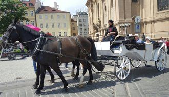 Photo of Magical Trip to Prague-Day 2 by Freesoul