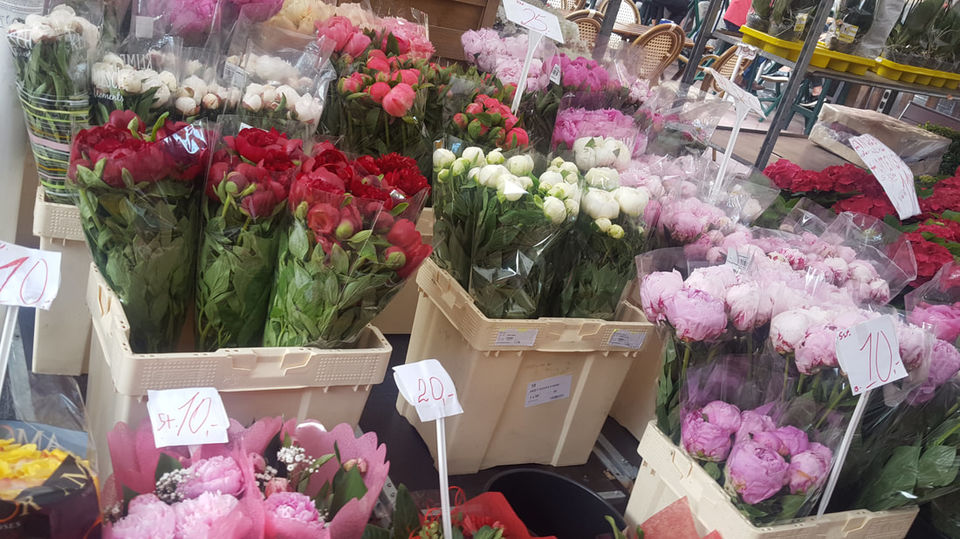 Photo of Naschmarkt, Vienna, Austria by Freesoul