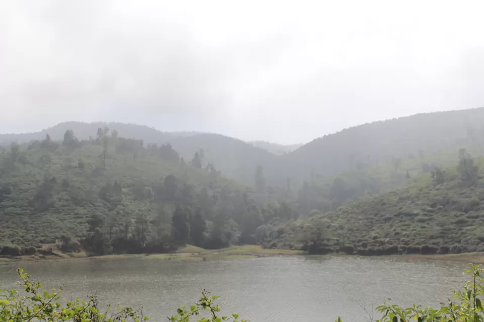 Photo of Ooty, Ooty, Tamil Nadu, India by MANOJ PRADHYUMNA