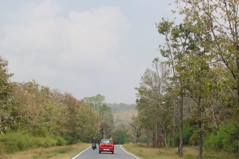 Photo of Bandipur, Karnataka, India by MANOJ PRADHYUMNA