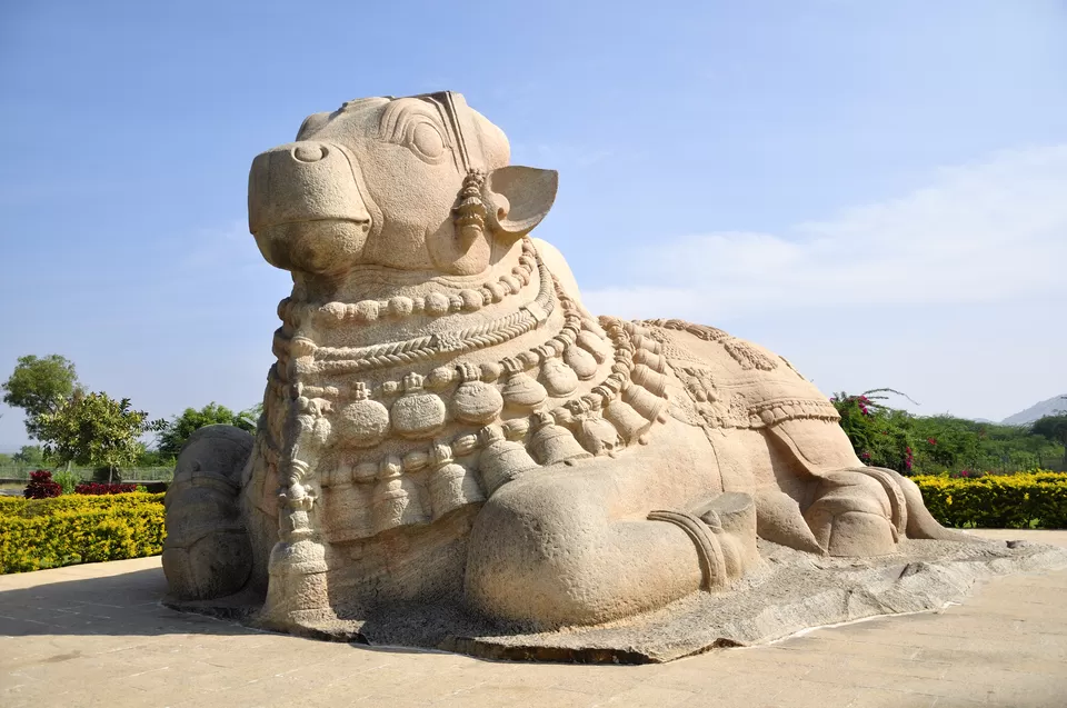 Photo of Lepakshi Nandi, Lepakshi, Andhra Pradesh, India by MANOJ PRADHYUMNA