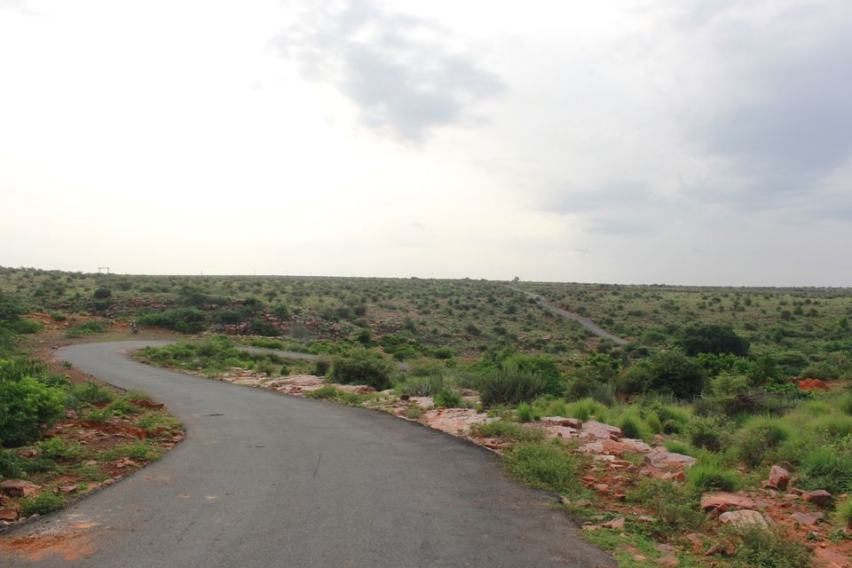Photo of Jammalamadugu, Andhra Pradesh, India by MANOJ PRADHYUMNA