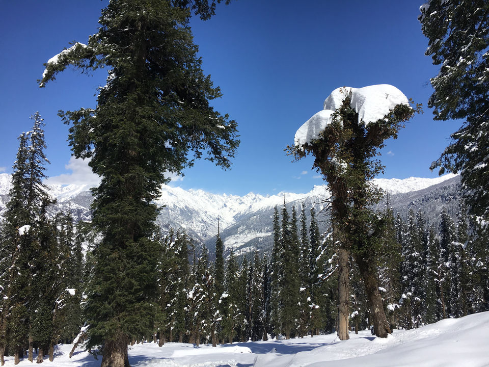 Photo of Unpredictable life, unpredictable trek- Birthday at peak- Kedarkantha trek in snow. by Deepa Alawani