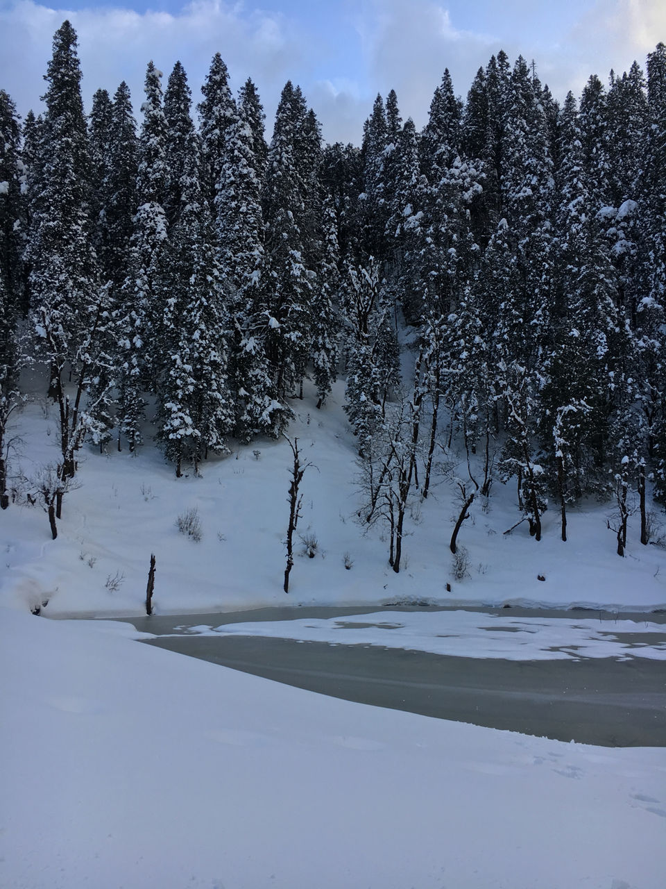 Photo of Unpredictable life, unpredictable trek- Birthday at peak- Kedarkantha trek in snow. by Deepa Alawani