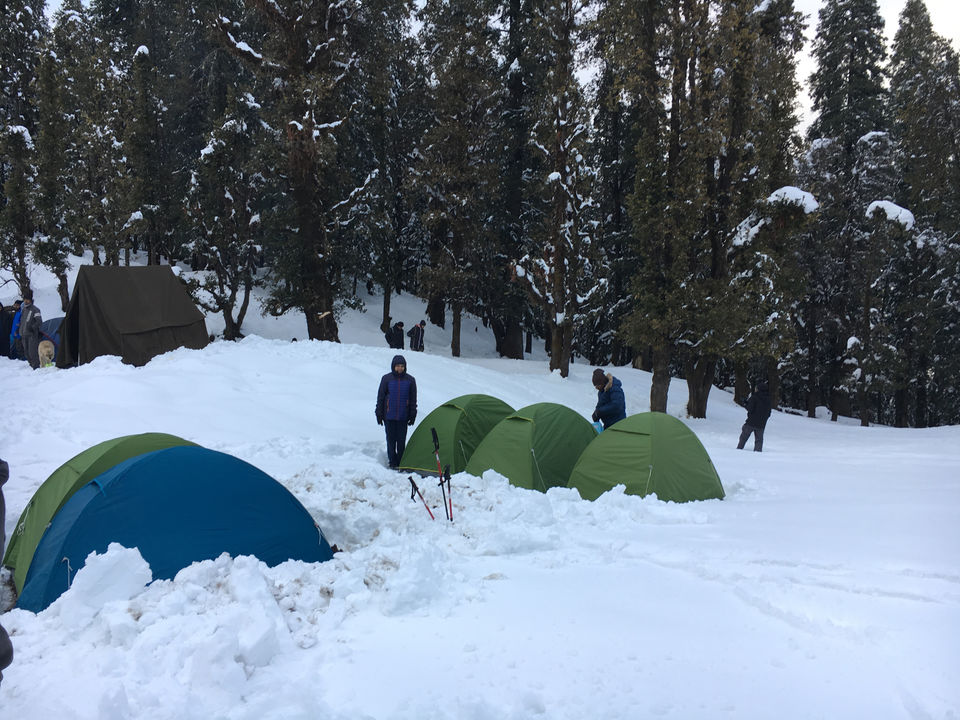 Photo of Unpredictable life, unpredictable trek- Birthday at peak- Kedarkantha trek in snow. by Deepa Alawani