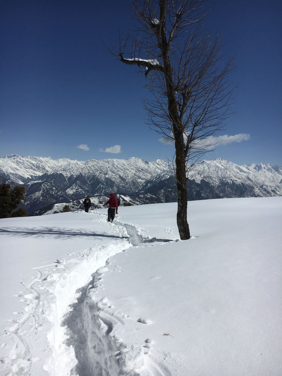 Photo of Unpredictable life, unpredictable trek- Birthday at peak- Kedarkantha trek in snow. by Deepa Alawani