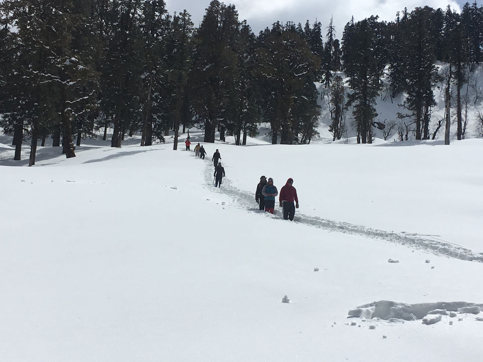 Photo of Unpredictable life, unpredictable trek- Birthday at peak- Kedarkantha trek in snow. by Deepa Alawani