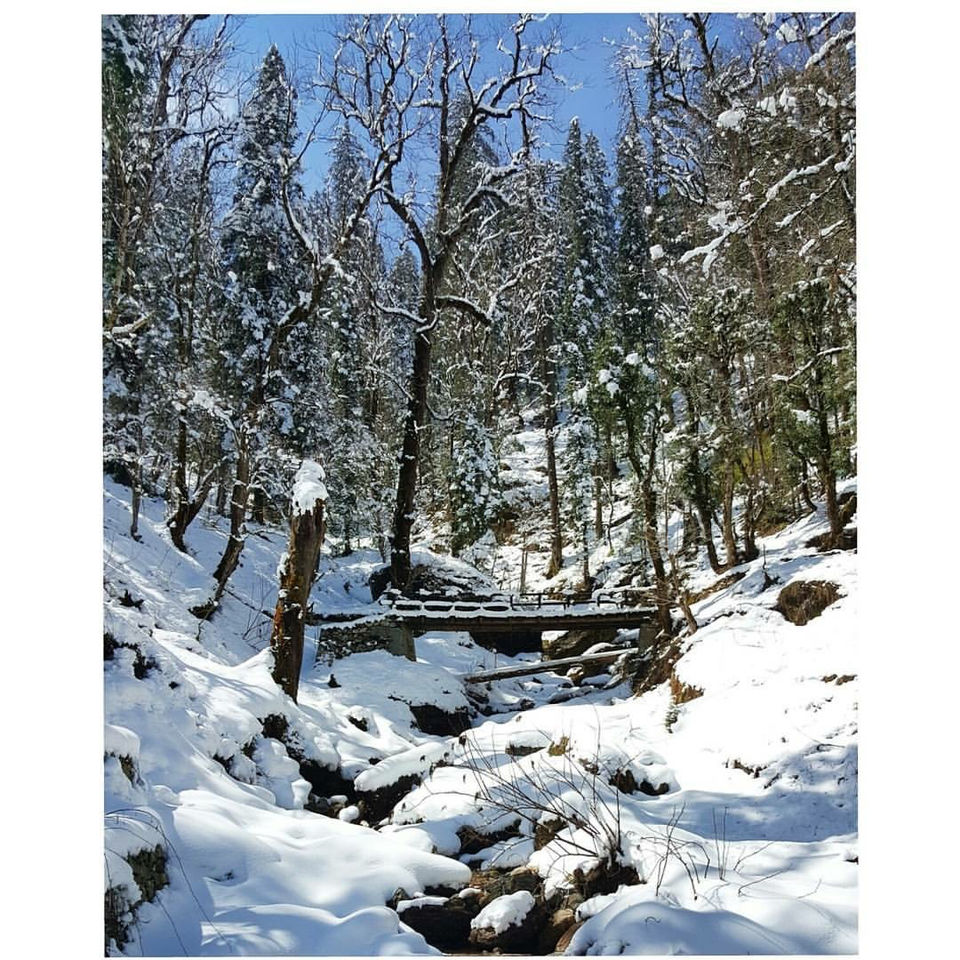 Photo of Unpredictable life, unpredictable trek- Birthday at peak- Kedarkantha trek in snow. by Deepa Alawani