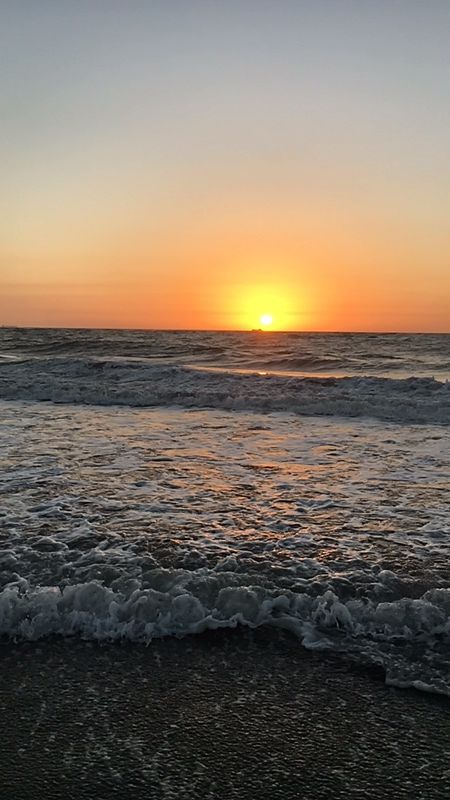 Photo of Visit to Velas Turtle Festival - Just get up and go. 4/4 by Deepa Alawani