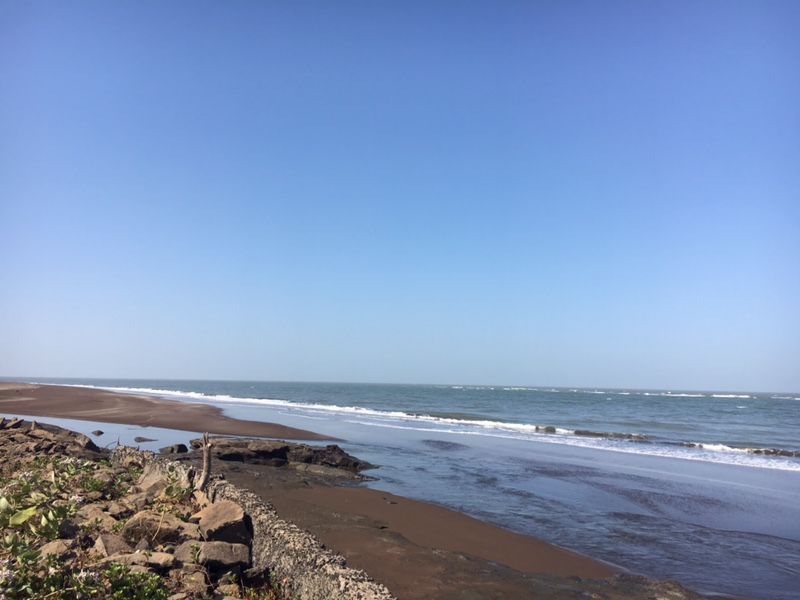 Photo of Visit to Velas Turtle Festival - Just get up and go. 3/4 by Deepa Alawani