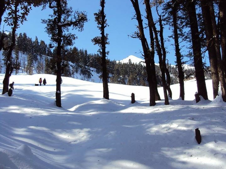 Photo of Unpredictable life, unpredictable trek- Birthday at peak- Kedarkantha trek in snow. by Deepa Alawani