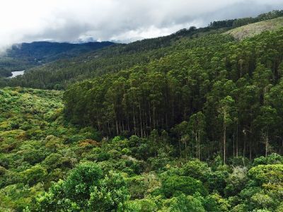Photo of Kodaikanal, Tamil Nadu, India by Anurag Kumar