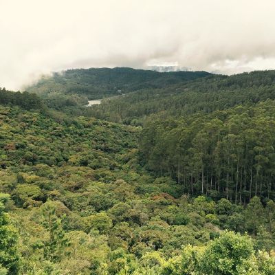 Photo of Kodaikanal, Tamil Nadu, India by Anurag Kumar