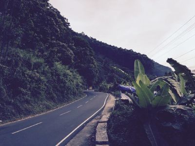 Photo of Kodaikanal, Tamil Nadu, India by Anurag Kumar