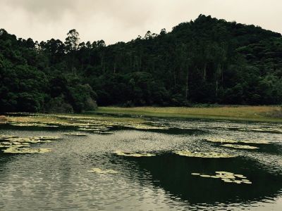 Photo of Kodaikanal, Tamil Nadu, India by Anurag Kumar