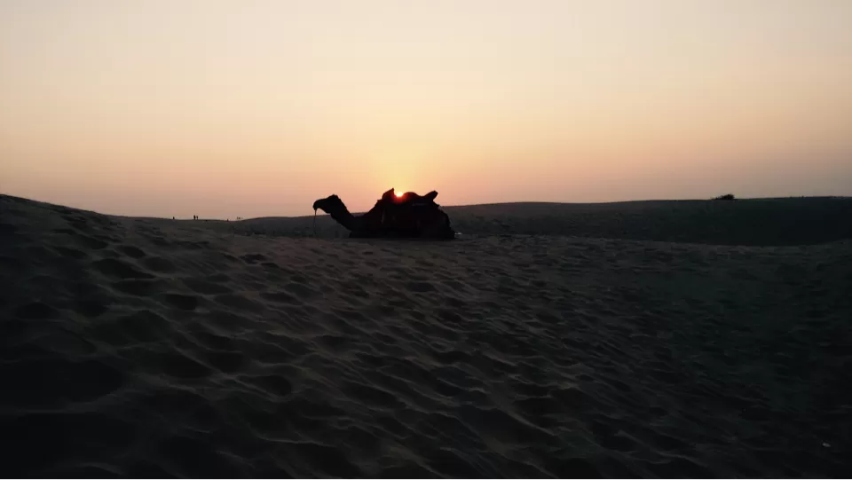 Photo of Padharo Mhare Des! by Anurag Kumar