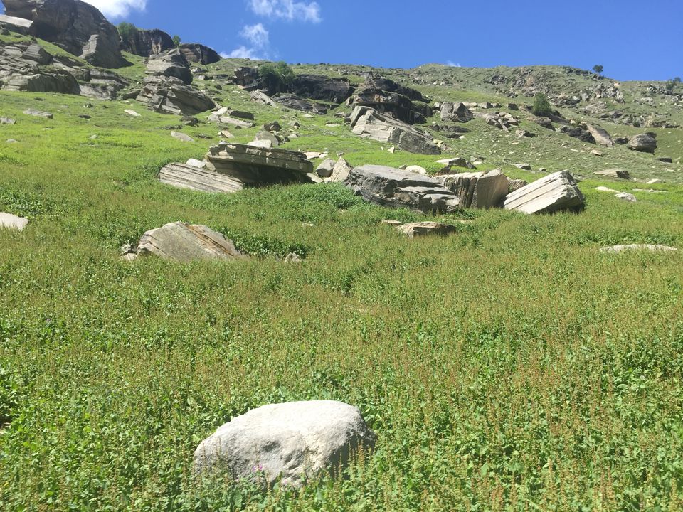 Photo of The Himalayan Diaries: NH 505 – Stairway "through" heaven!!! 21/37 by Anurag Kumar
