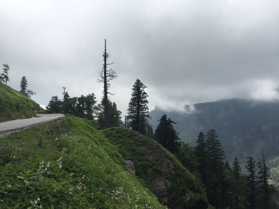Photo of The Himalayan Diaries: NH 505 – Stairway "through" heaven!!! 30/37 by Anurag Kumar