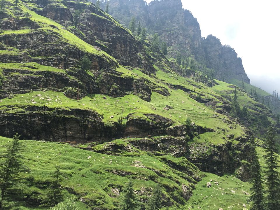 Photo of The Himalayan Diaries: NH 505 – Stairway "through" heaven!!! 36/37 by Anurag Kumar