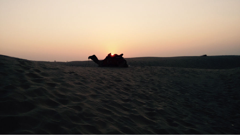 Photo of Padharo Mhare Des! by Anurag Kumar