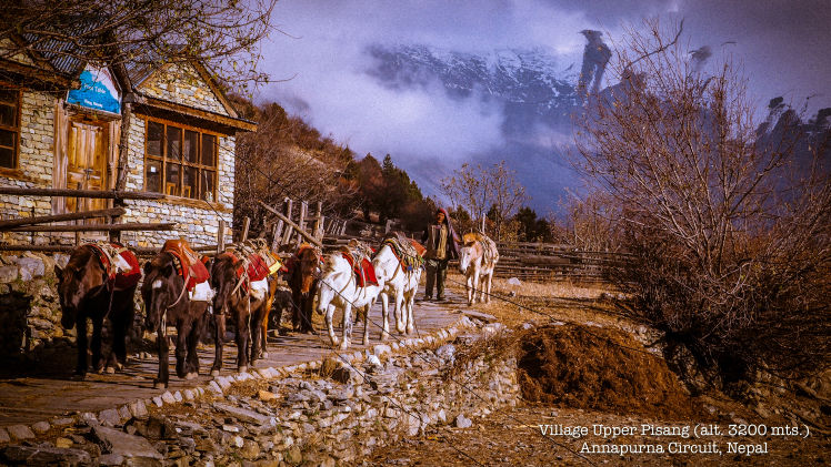 Photo of Photo Diary – Annapurna Circuit Trek, 2014 2/14 by Rookie Travel Diaries