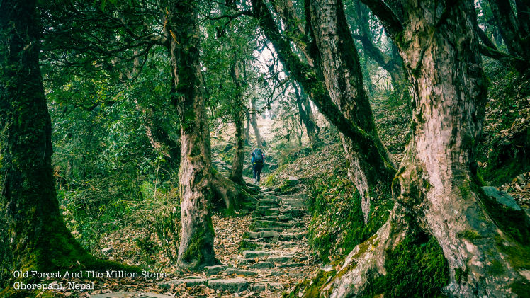Photo of Photo Diary – Annapurna Circuit Trek, 2014 4/14 by Rookie Travel Diaries
