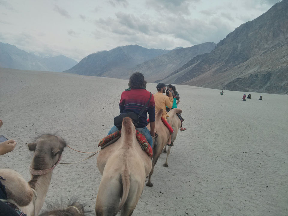 Photo of Ladakh Trip – Do’s and “Of course Do”s 5/16 by Rookie Travel Diaries