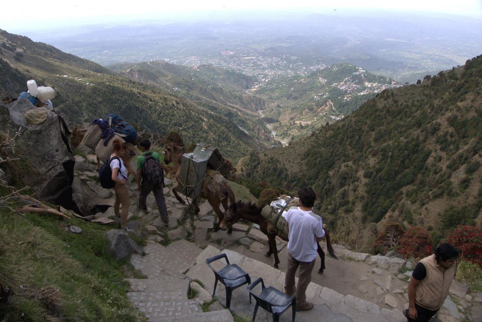 Photo of Dharamshala – About Mountains, Rains, Spliffs, Jamms and Energy (Part 2) 10/18 by Rookie Travel Diaries
