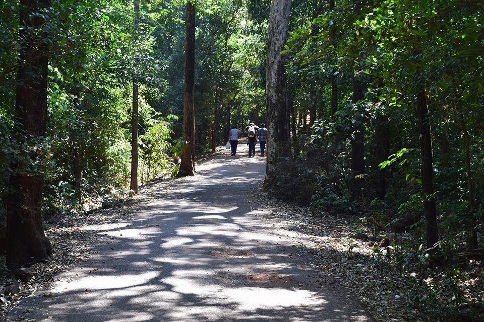 Photo of Yana, Karnataka, India by vinay vinvin