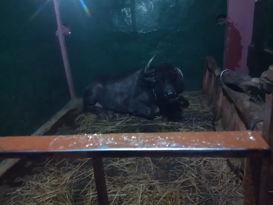 Photo of Marikamba Temple, State Highway 77, Sirsi, Karnataka, India by vinay vinvin