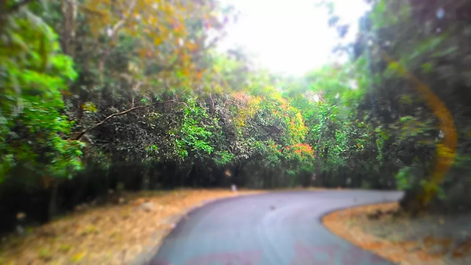 Photo of Karwar, Karnataka, India by vinay vinvin