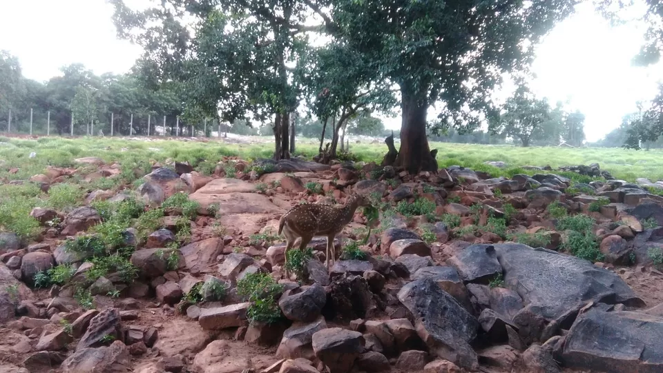 Photo of Gaali Gopuram, Telaprolu, Andhra Pradesh, India by vinay vinvin