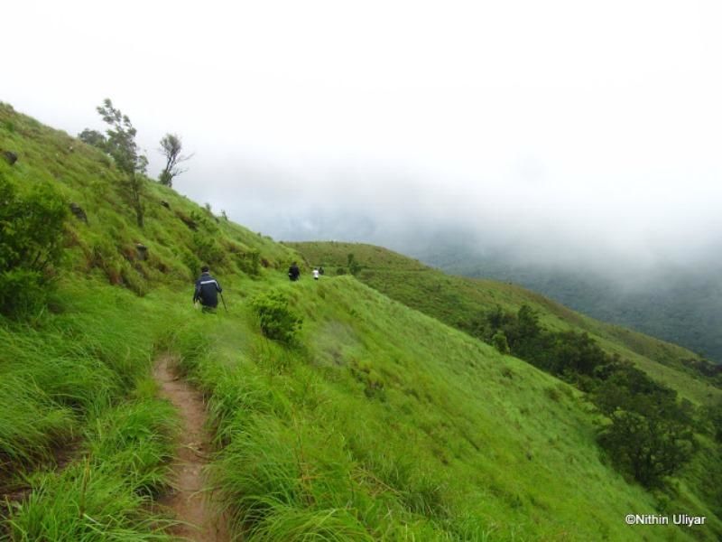 Photo of Get 'high' in Coorg with these amazing treks 1/3 by Philip John